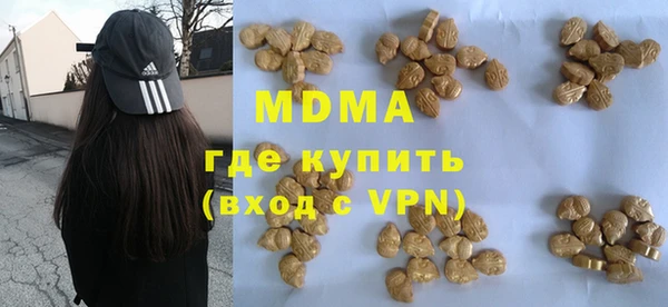 стафф Ельня