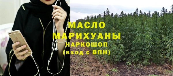 стафф Ельня