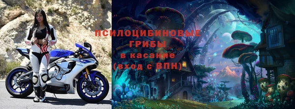 ECSTASY Елизово