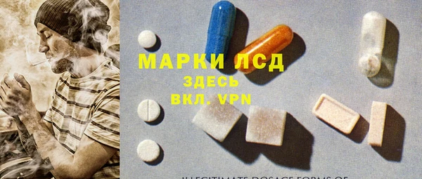 стафф Ельня