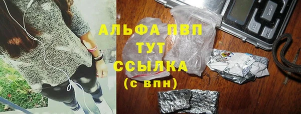 стафф Ельня