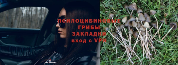 стафф Ельня