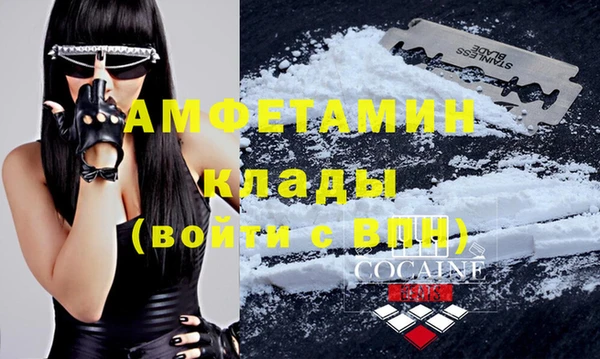стафф Ельня