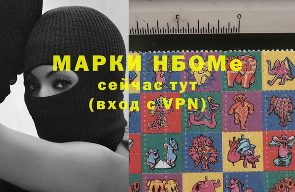 стафф Ельня