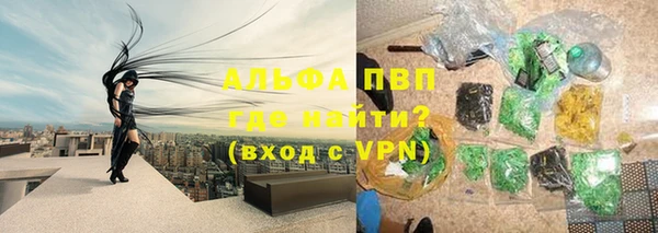 ECSTASY Елизово