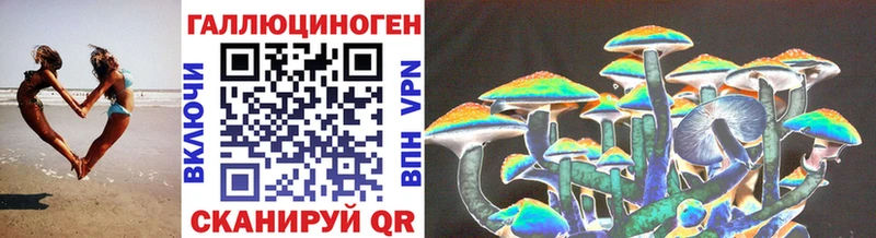 Купить  Себеж  Псилоцибиновые грибы Psilocybe 